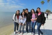 Летние каникулы в США с изучением английского языка в школе ELS во Флориде и в Малибу для школьников от 10 до 16 лет фото