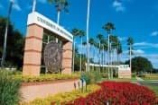Программа Into University of South Florida Undergraduate Pathway - подготовка к поступлению на второй курс USF фото