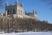 Чикагский университет - University of Chicago фото