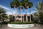 Программа Into University of South Florida Undergraduate Pathway - подготовка к поступлению на второй курс USF фото