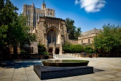 Йельский университет (Yale University) фото